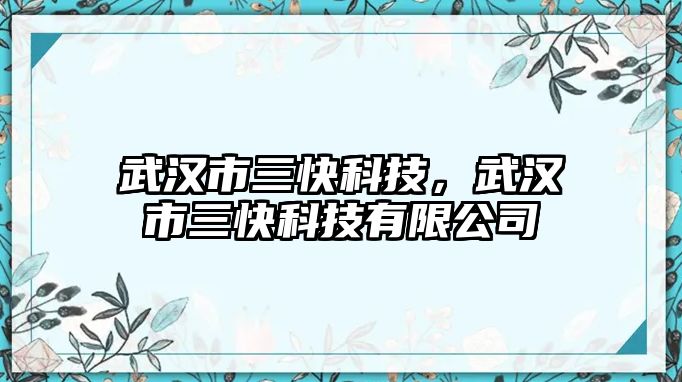 武漢市三快科技，武漢市三快科技有限公司