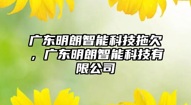 廣東明朗智能科技拖欠，廣東明朗智能科技有限公司