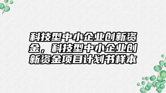 科技型中小企業(yè)創(chuàng)新資金，科技型中小企業(yè)創(chuàng)新資金項目計劃書樣本