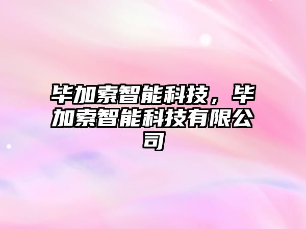 畢加索智能科技，畢加索智能科技有限公司