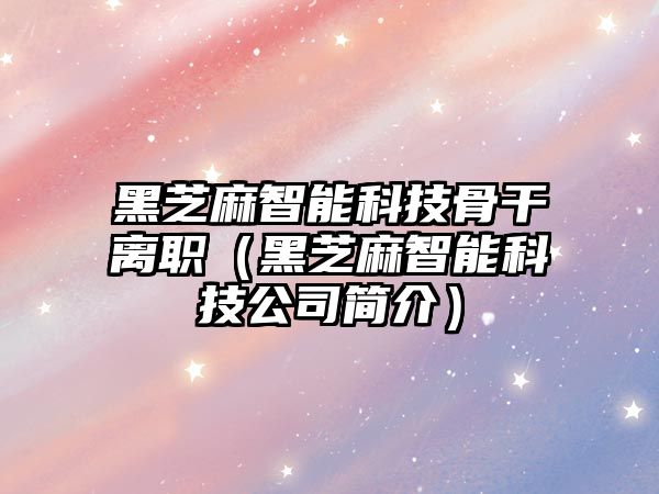 黑芝麻智能科技骨干離職（黑芝麻智能科技公司簡(jiǎn)介）