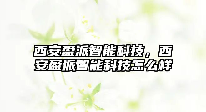 西安盈派智能科技，西安盈派智能科技怎么樣