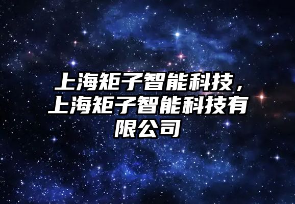 上海矩子智能科技，上海矩子智能科技有限公司