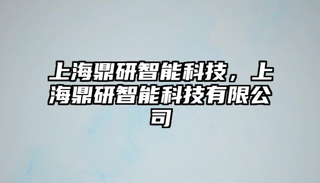 上海鼎研智能科技，上海鼎研智能科技有限公司