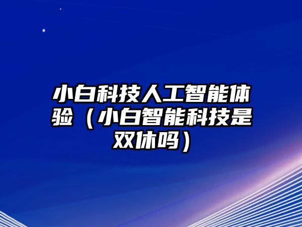 小白科技人工智能體驗(yàn)（小白智能科技是雙休嗎）