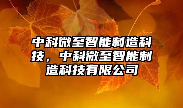 中科微至智能制造科技，中科微至智能制造科技有限公司