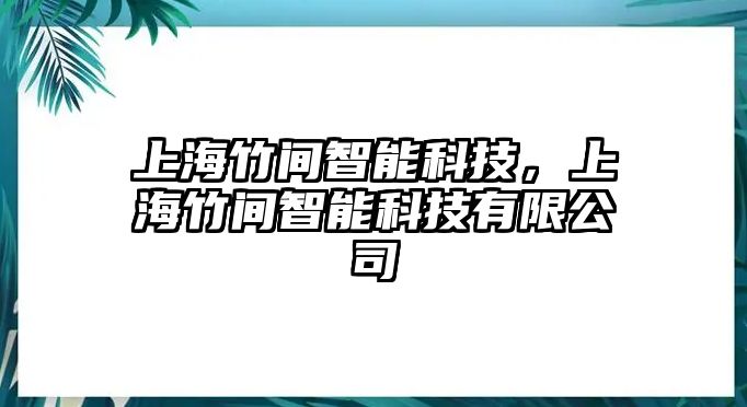 上海竹間智能科技，上海竹間智能科技有限公司