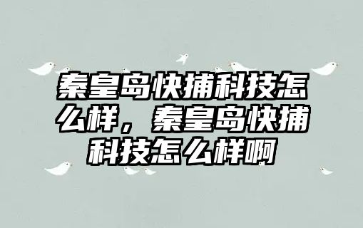 秦皇島快捕科技怎么樣，秦皇島快捕科技怎么樣啊