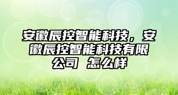 安徽辰控智能科技，安徽辰控智能科技有限公司 怎么樣