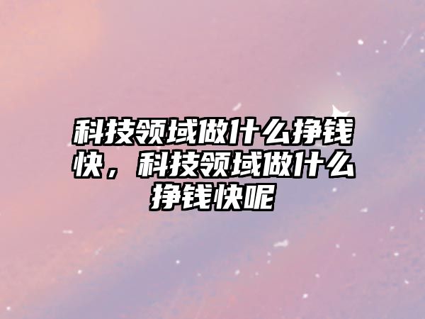 科技領(lǐng)域做什么掙錢快，科技領(lǐng)域做什么掙錢快呢