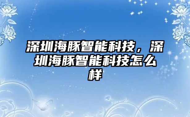 深圳海豚智能科技，深圳海豚智能科技怎么樣