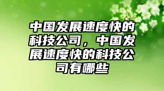 中國(guó)發(fā)展速度快的科技公司，中國(guó)發(fā)展速度快的科技公司有哪些