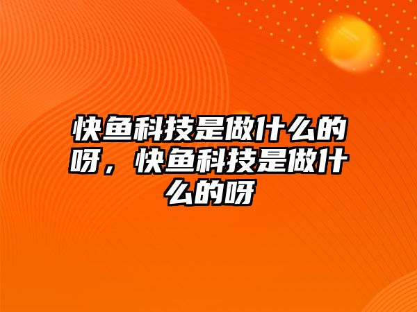 快魚科技是做什么的呀，快魚科技是做什么的呀