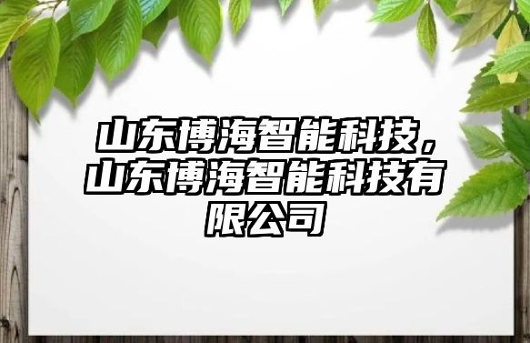 山東博海智能科技，山東博海智能科技有限公司