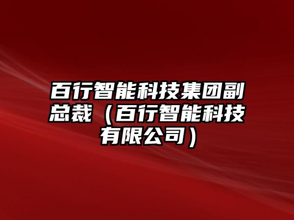 百行智能科技集團(tuán)副總裁（百行智能科技有限公司）