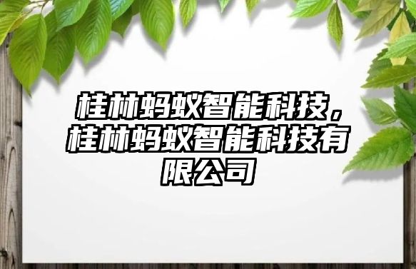 桂林螞蟻智能科技，桂林螞蟻智能科技有限公司