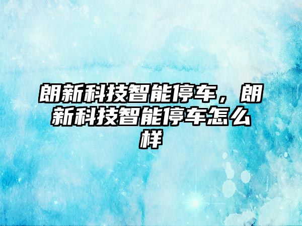 朗新科技智能停車，朗新科技智能停車怎么樣