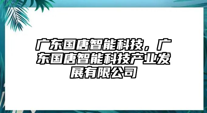 廣東國唐智能科技，廣東國唐智能科技產業(yè)發(fā)展有限公司