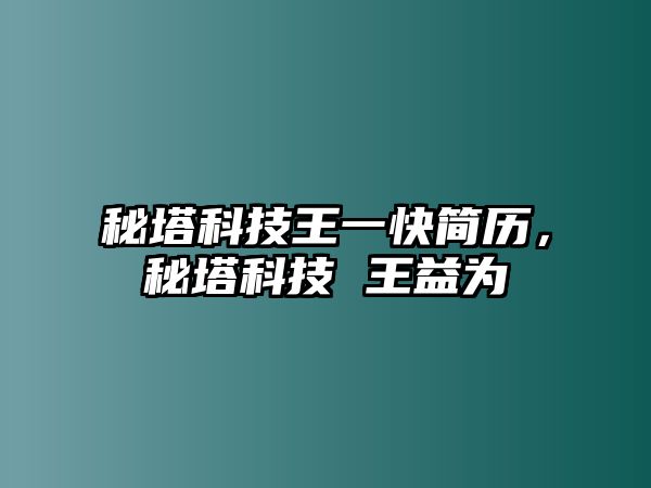 秘塔科技王一快簡歷，秘塔科技 王益為