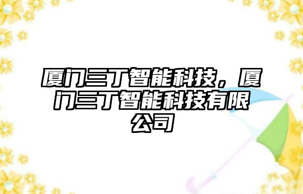 廈門三丁智能科技，廈門三丁智能科技有限公司