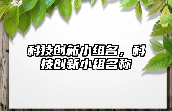 科技創(chuàng)新小組名，科技創(chuàng)新小組名稱