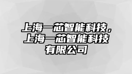 上海一芯智能科技，上海一芯智能科技有限公司