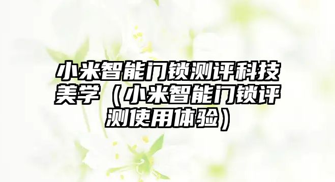 小米智能門鎖測評科技美學（小米智能門鎖評測使用體驗）