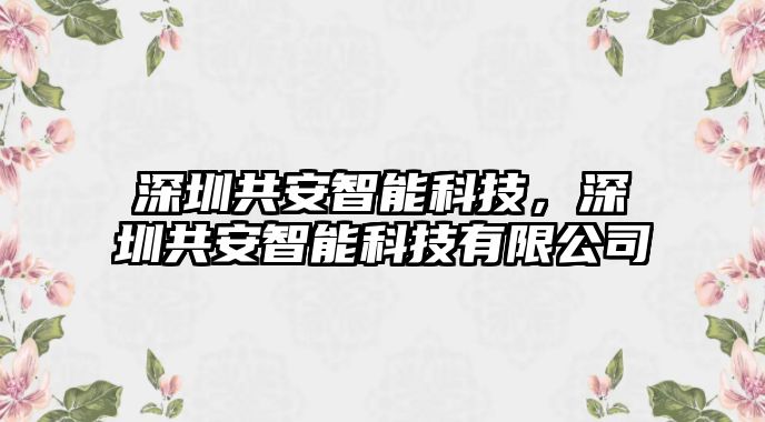 深圳共安智能科技，深圳共安智能科技有限公司