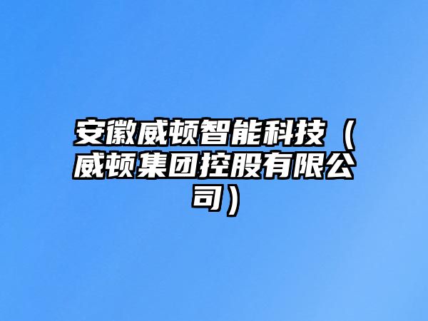 安徽威頓智能科技（威頓集團(tuán)控股有限公司）