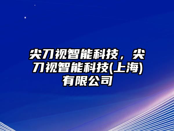 尖刀視智能科技，尖刀視智能科技(上海)有限公司