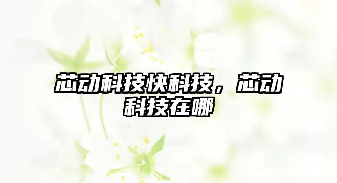 芯動科技快科技，芯動科技在哪