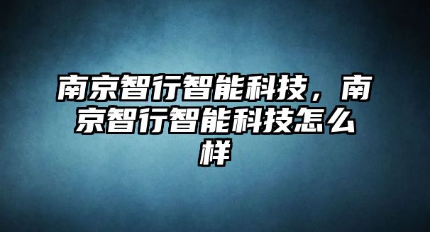 南京智行智能科技，南京智行智能科技怎么樣