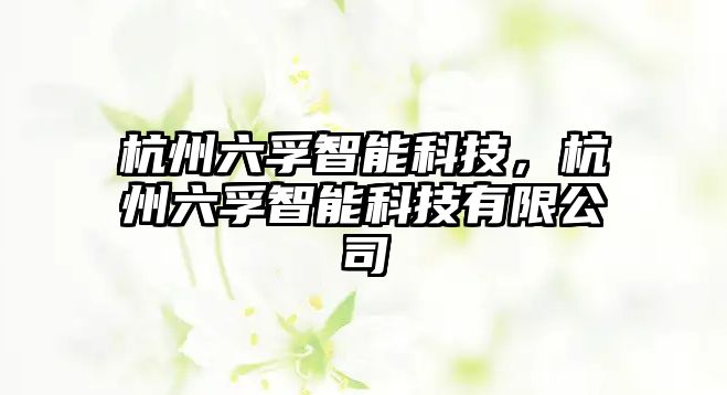 杭州六孚智能科技，杭州六孚智能科技有限公司