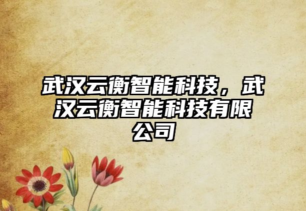 武漢云衡智能科技，武漢云衡智能科技有限公司