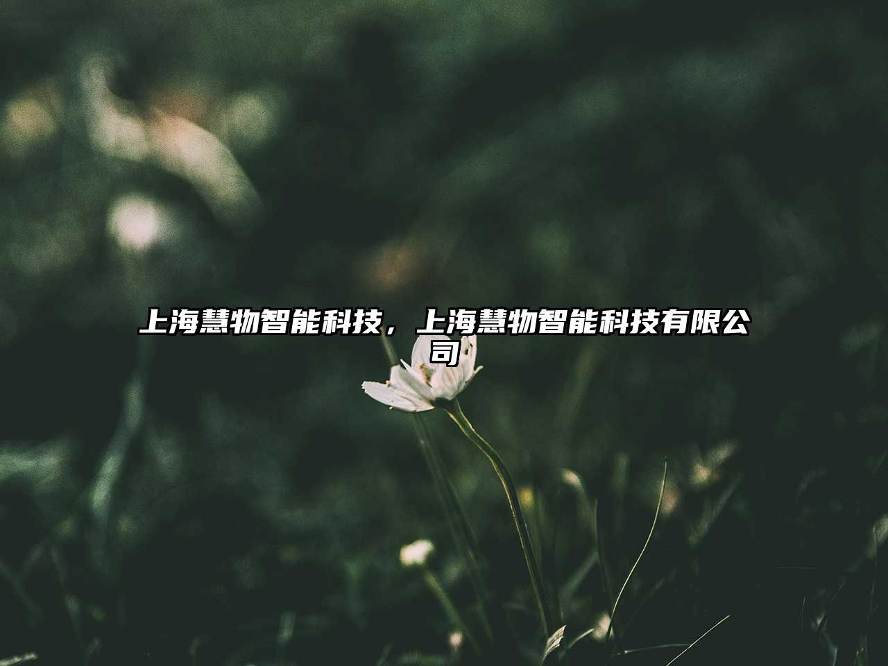 上?；畚镏悄芸萍?，上海慧物智能科技有限公司