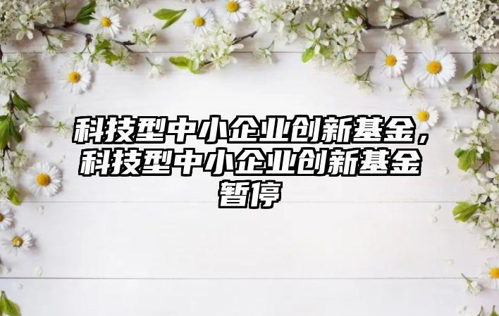 科技型中小企業(yè)創(chuàng)新基金，科技型中小企業(yè)創(chuàng)新基金暫停