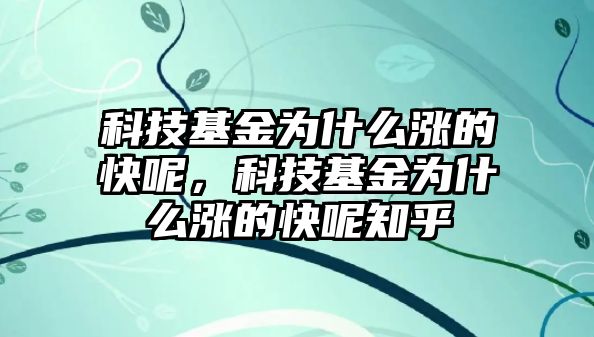 科技基金為什么漲的快呢，科技基金為什么漲的快呢知乎