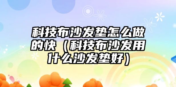 科技布沙發(fā)墊怎么做的快（科技布沙發(fā)用什么沙發(fā)墊好）