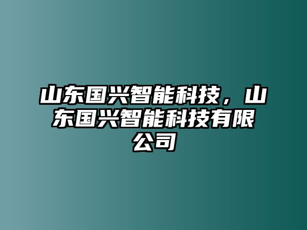 山東國興智能科技，山東國興智能科技有限公司