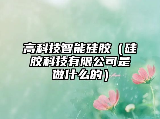 高科技智能硅膠（硅膠科技有限公司是做什么的）