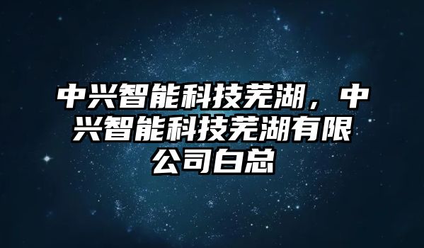 中興智能科技蕪湖，中興智能科技蕪湖有限公司白總