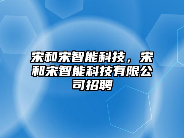 宋和宋智能科技，宋和宋智能科技有限公司招聘