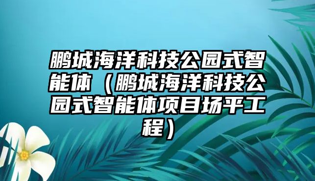 鵬城海洋科技公園式智能體（鵬城海洋科技公園式智能體項目場平工程）