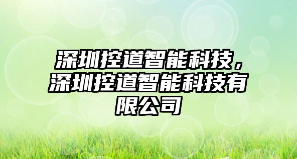 深圳控道智能科技，深圳控道智能科技有限公司