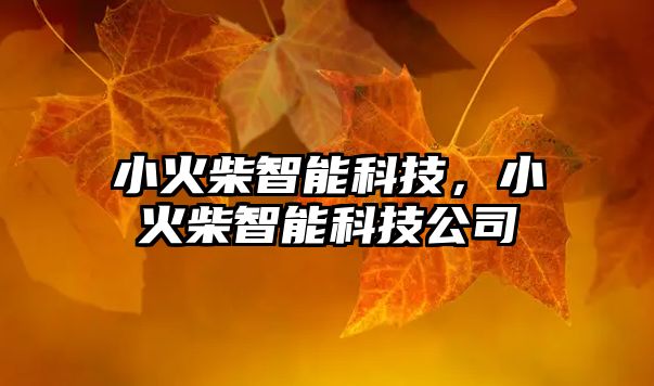 小火柴智能科技，小火柴智能科技公司