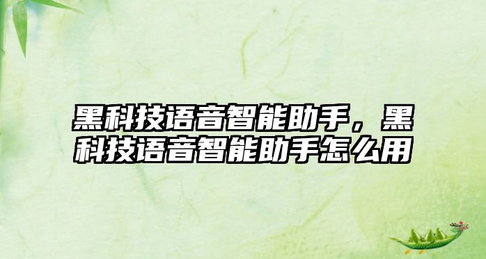 黑科技語音智能助手，黑科技語音智能助手怎么用