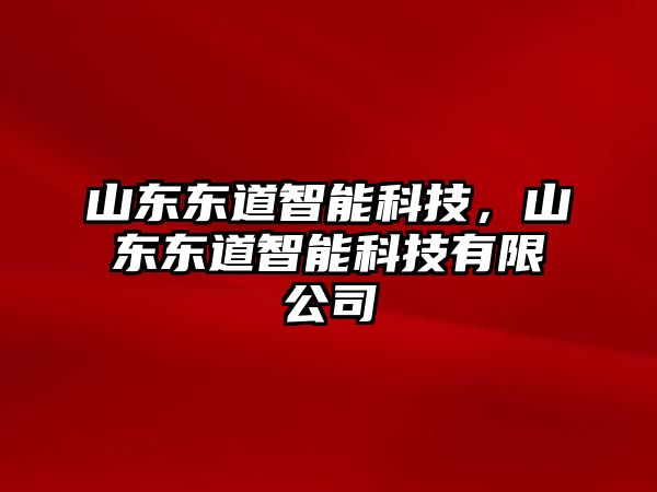 山東東道智能科技，山東東道智能科技有限公司