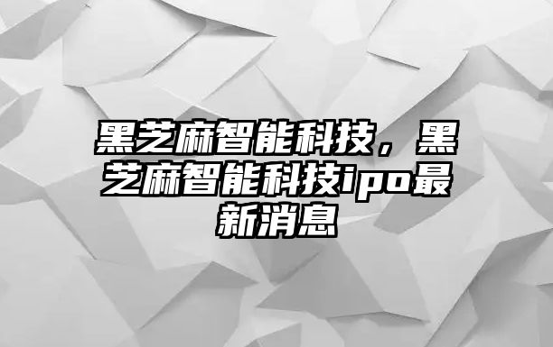 黑芝麻智能科技，黑芝麻智能科技ipo最新消息