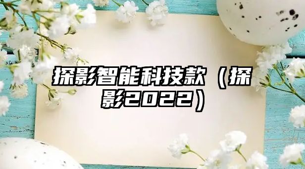 探影智能科技款（探影2022）