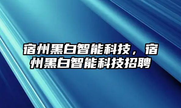 宿州黑白智能科技，宿州黑白智能科技招聘